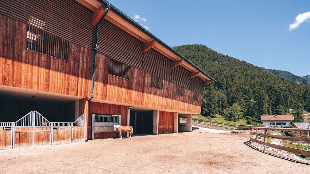 die neu gestaltete helle und moderne Reithalle des Familienresort Buchau