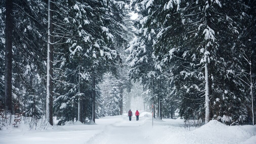 Snowshoe hiking tour in the direction of the Gramai Alm - shortly after the Falzthurnalm