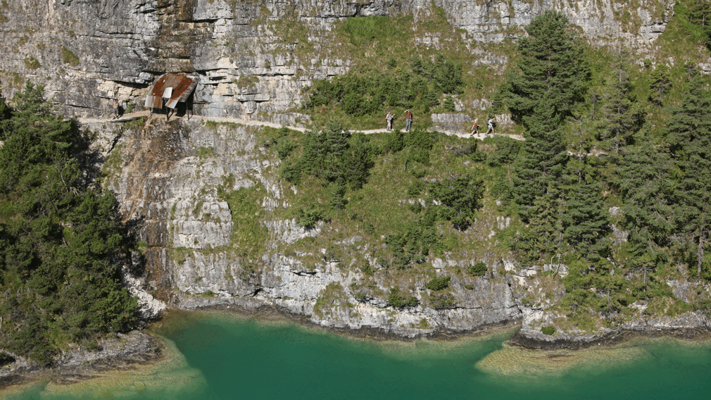der Weg zwischen Pertisau, Gaisalm und Achenkirch bietet tolle Panoramablicke auf den Achensee