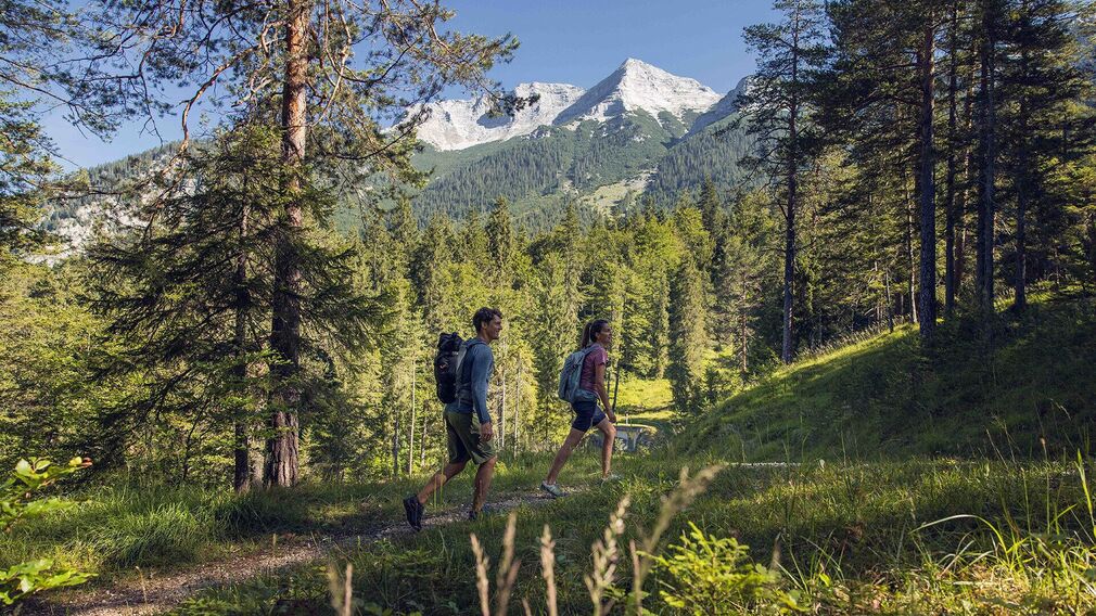 auf der Bärenwaldrunde - Ausblick zur Pfarrkirche von Steinberg