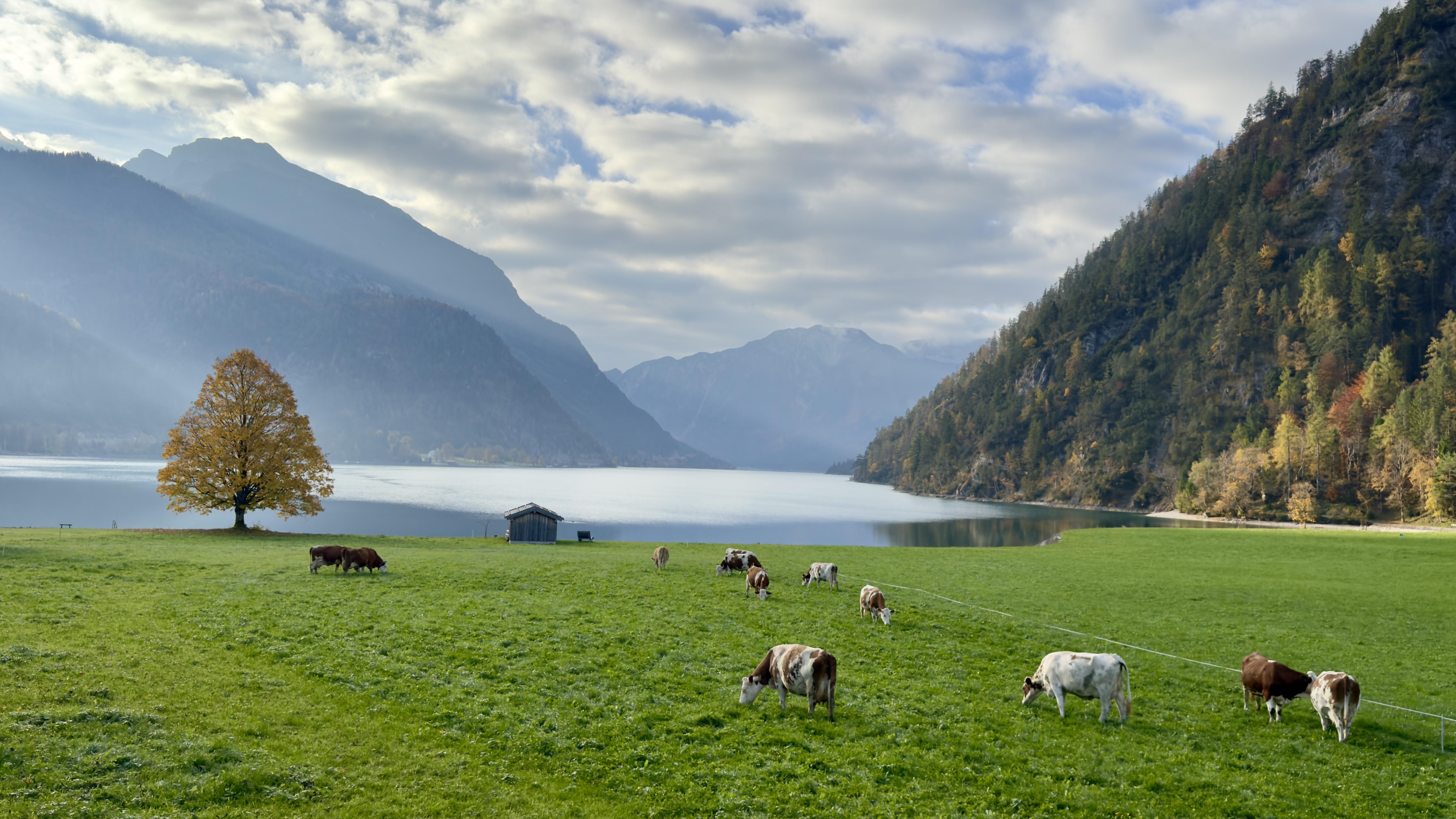 Stiedlhof am Achensee