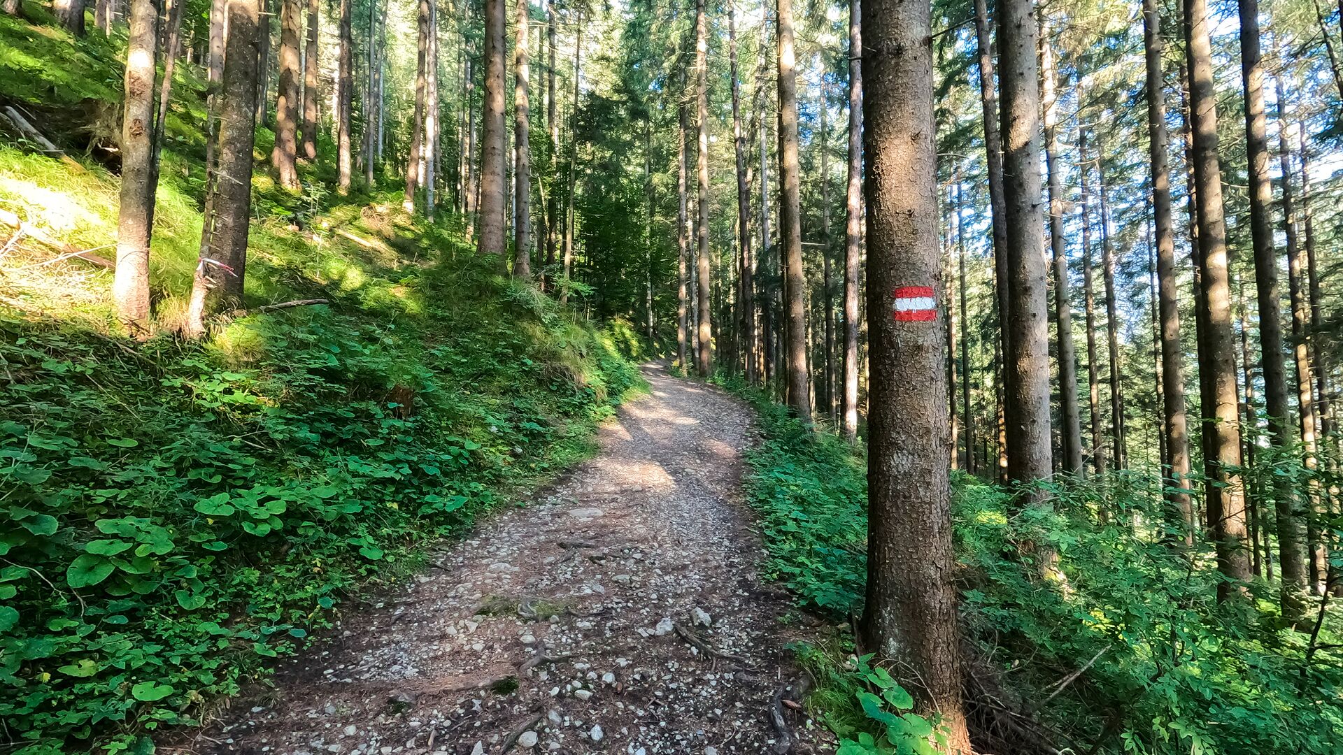 start of the path of reflection - above the parking lot